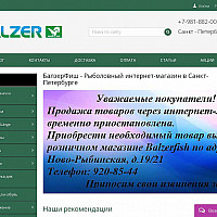 Продвижение рыболовного магазина balzerfish.ru