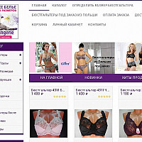 Продвижение интернет-магазина женского белья SEO Аудит сайта biglingerie.ru